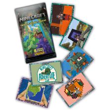 Minecraft TC 2023 - create, explore, survive - carduri lipsă